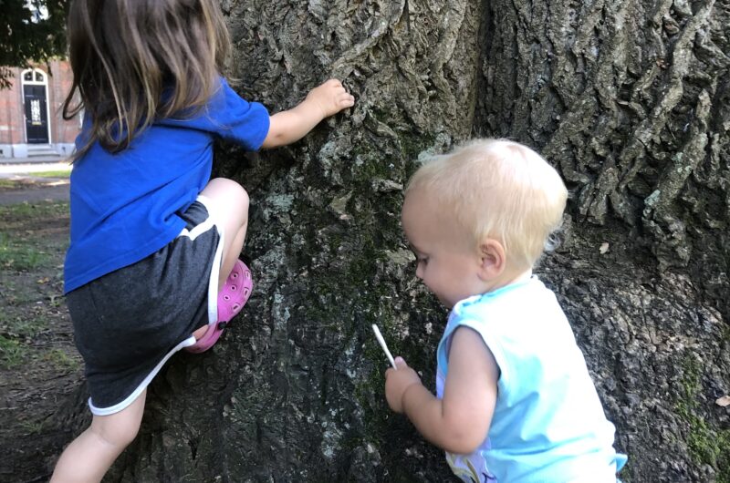 Understanding your highly sensitive child; Tips for parenting a highly sensitive child, support for highly sensitive children. Two highly sensitive children are playing next to an old tree