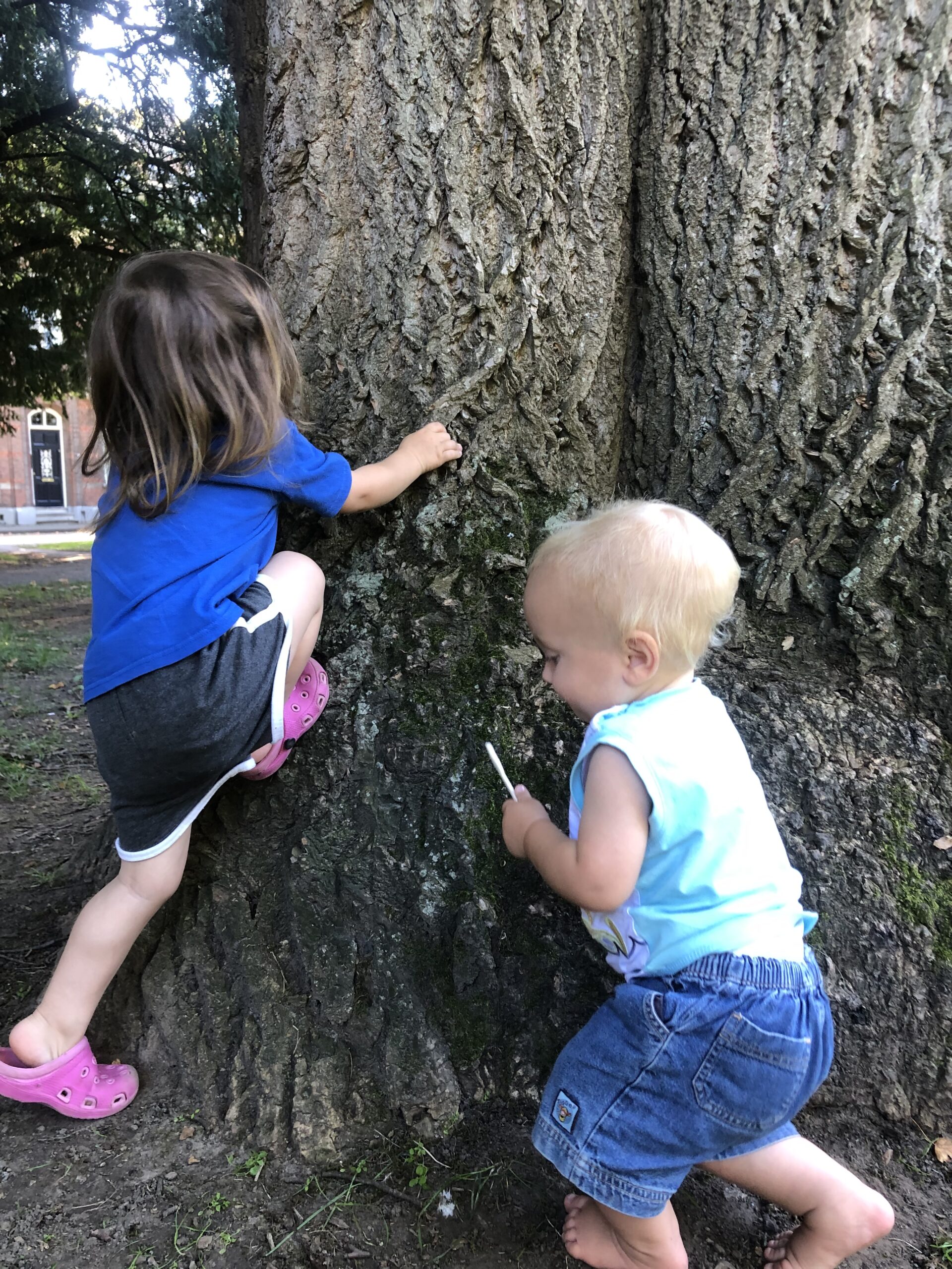 Understanding your highly sensitive child; Tips for parenting a highly sensitive child, support for highly sensitive children. Two highly sensitive children are playing next to an old tree